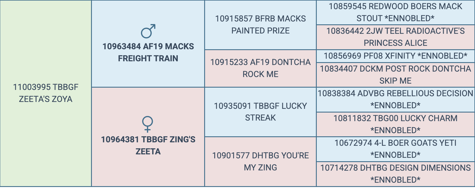 Screenshot 2026-03-26 at 6.52.36 PM