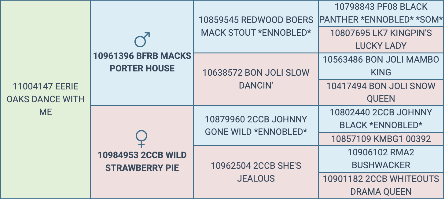 Screenshot 2026-03-26 at 8.29.15 AM