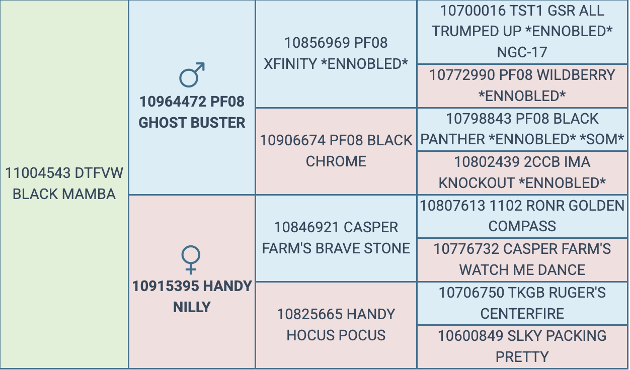 Screenshot 2026-03-30 at 8.40.19 PM