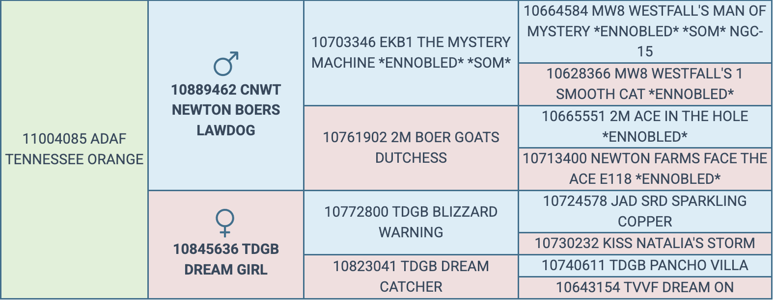 Screenshot 2026-03-31 at 12.56.37 PM