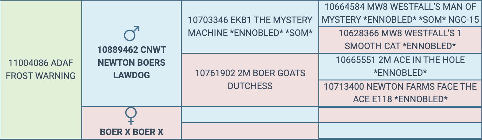 Screenshot 2026-03-31 at 2.28.15 PM