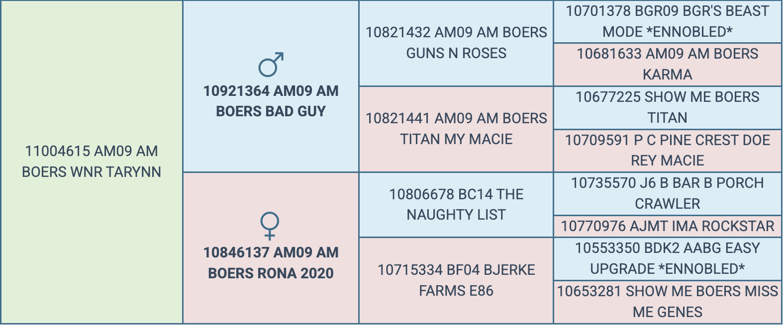 Screenshot 2026-03-31 at 2.35.15 PM