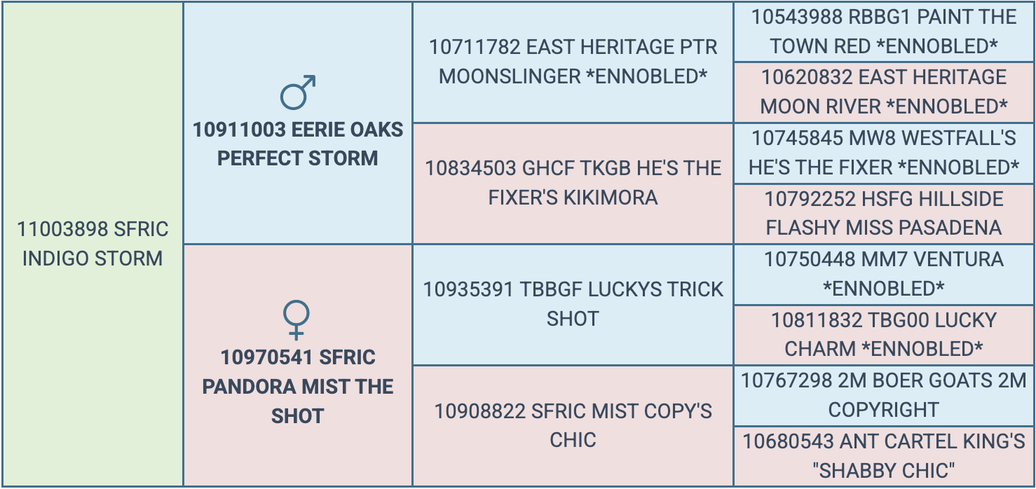 Screenshot 2026-04-02 at 7.09.19 PM