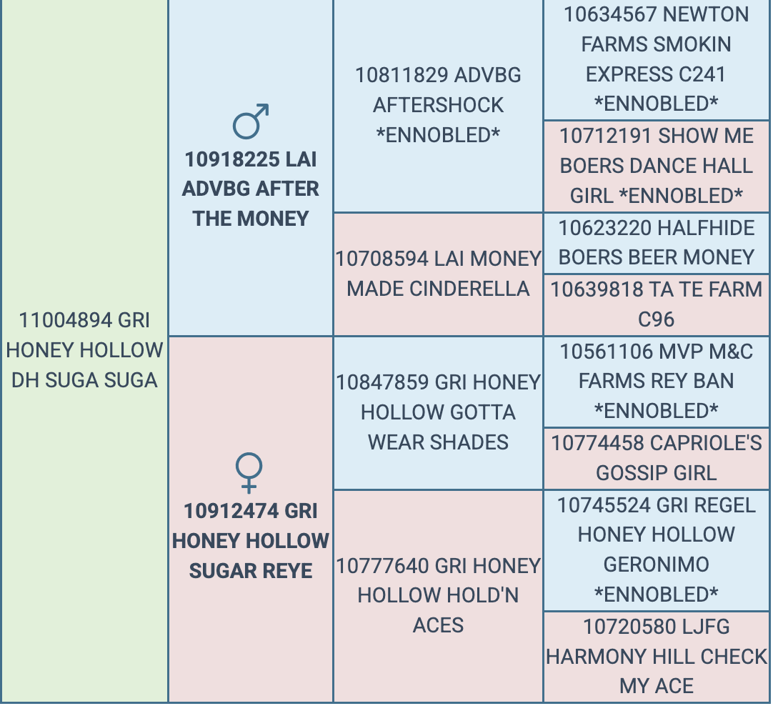 Screenshot 2026-04-05 at 6.22.59 PM