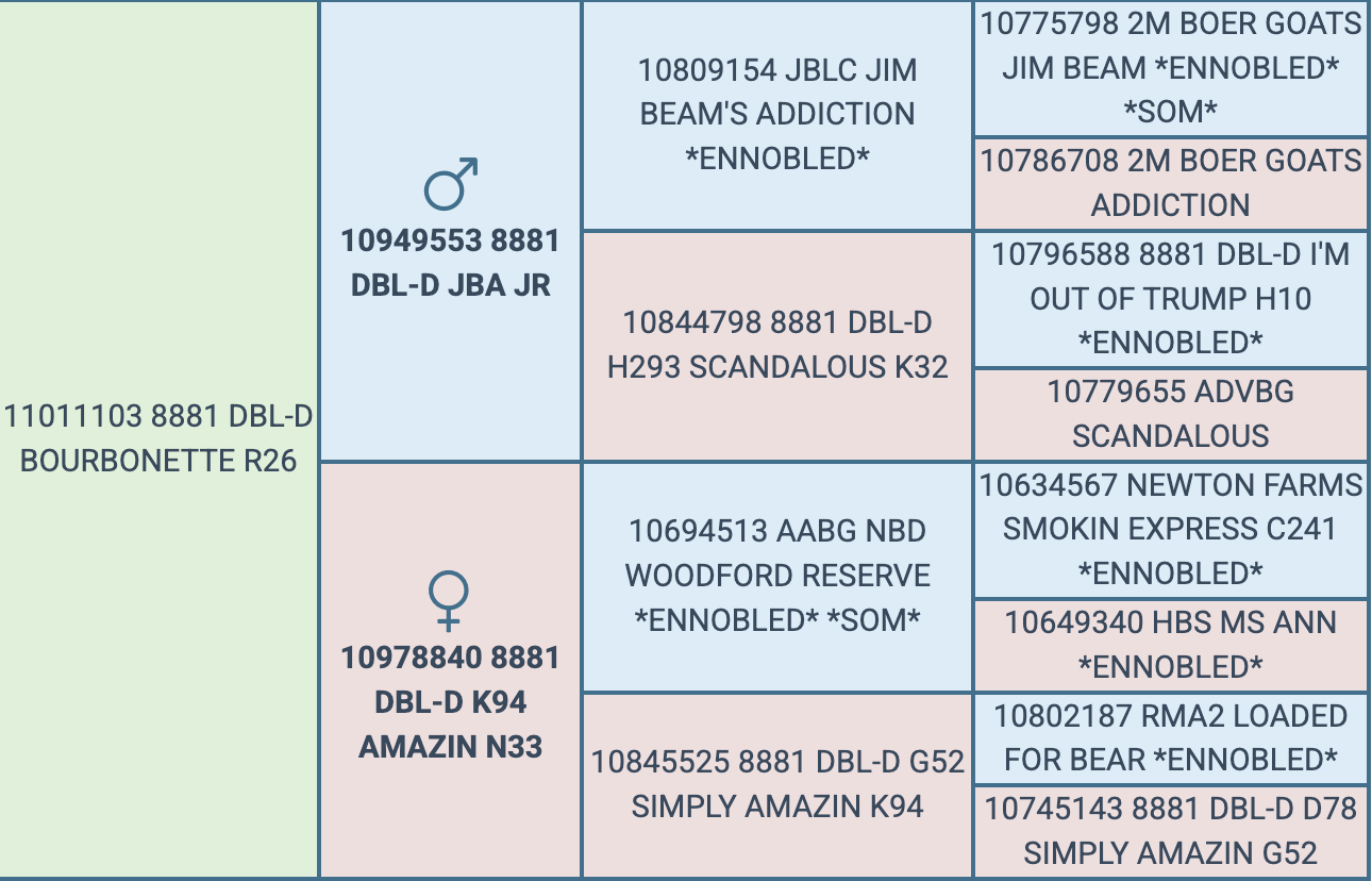 Screenshot 2026-06-14 at 7.29.52 PM