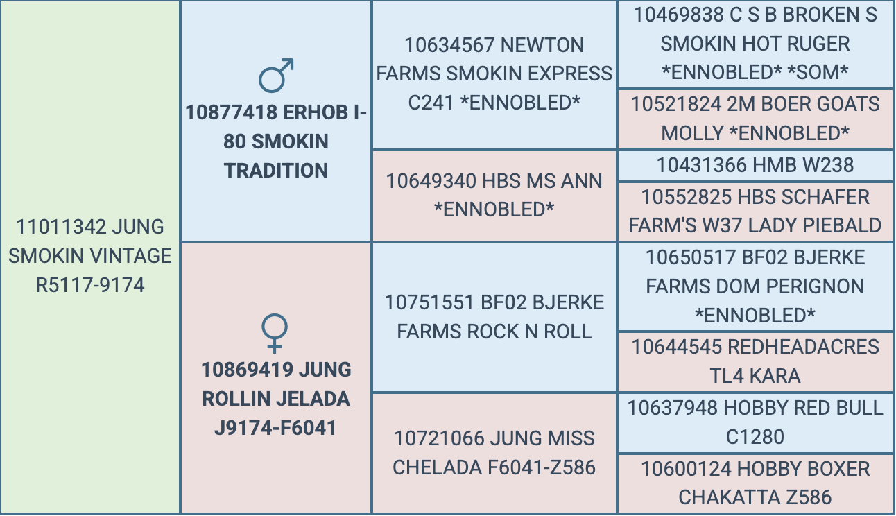 Screenshot 2026-06-16 at 7.22.39 PM