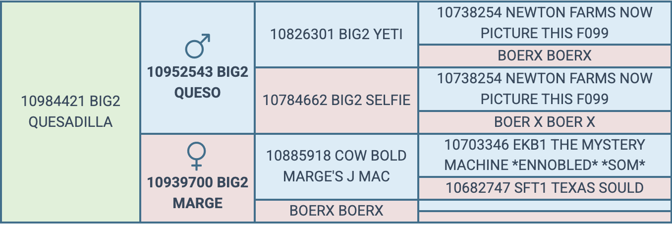 Screenshot 2026-07-22 at 11.16.52 AM