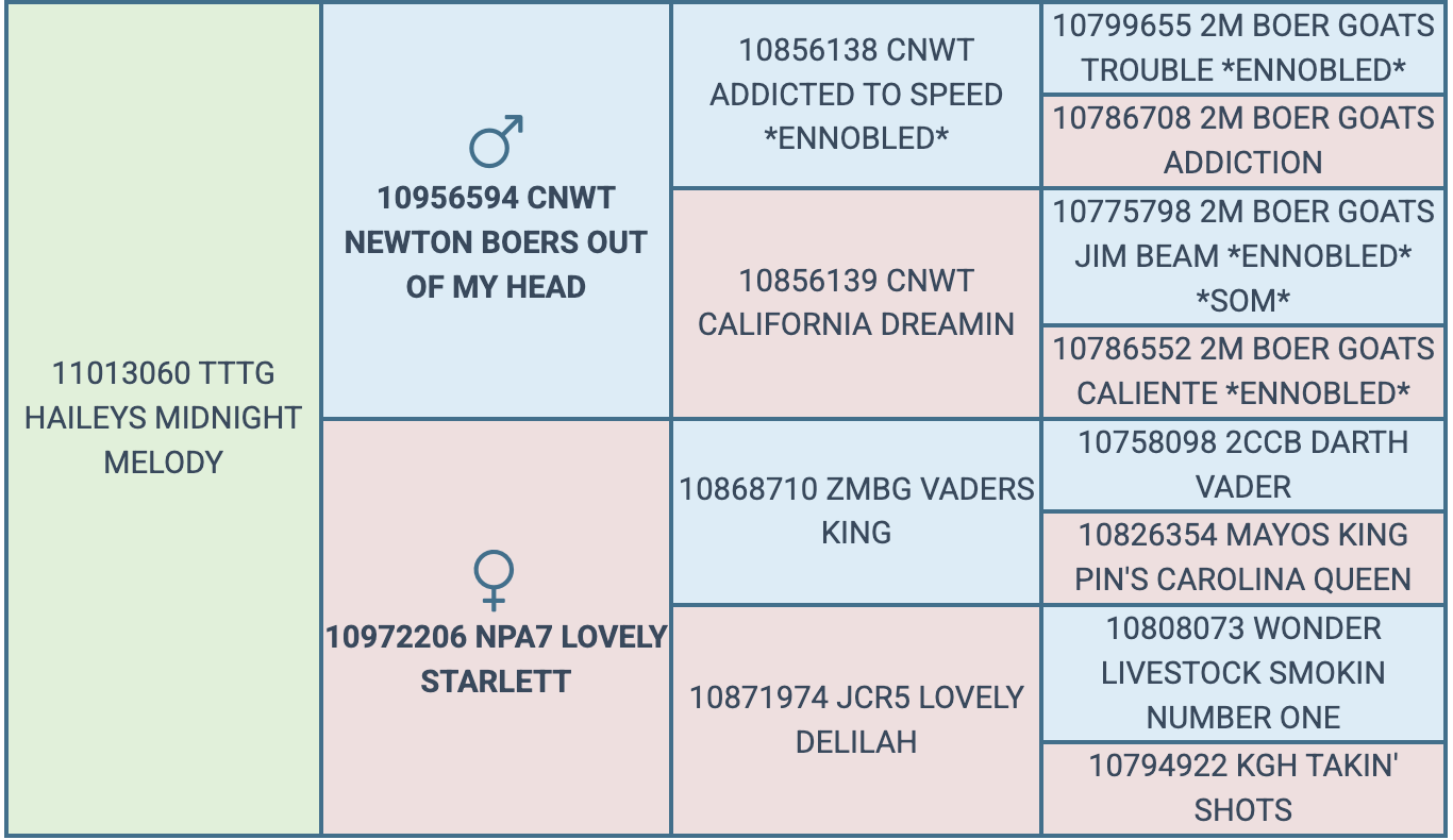 Screenshot 2026-07-22 at 12.43.13 PM