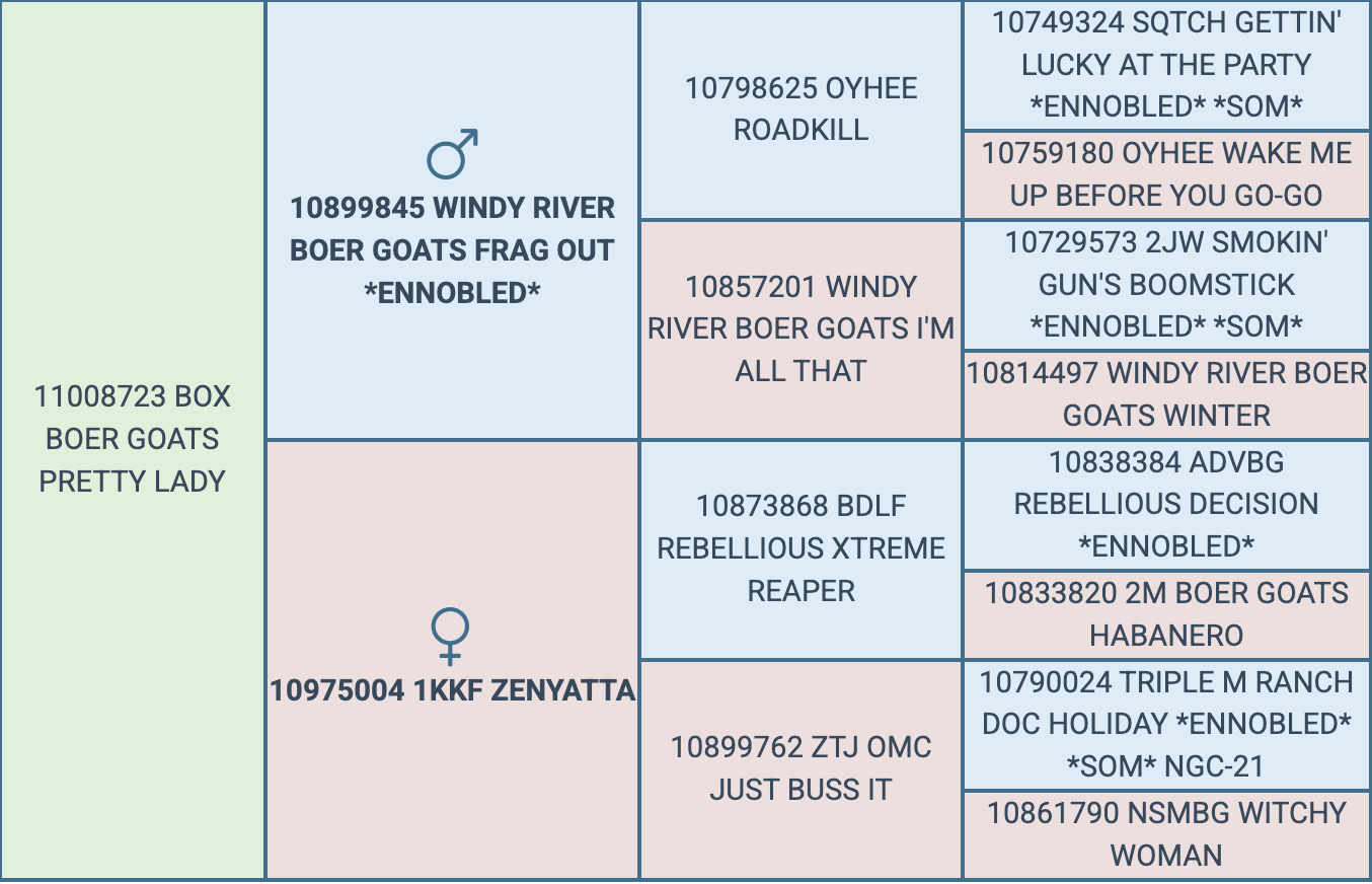 Screenshot 2026-07-22 at 12.53.28 PM