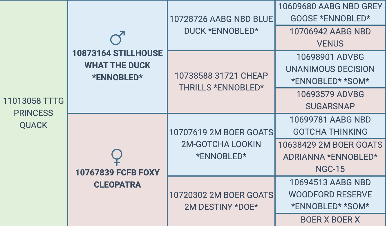 Screenshot 2026-07-22 at 4.59.44 PM