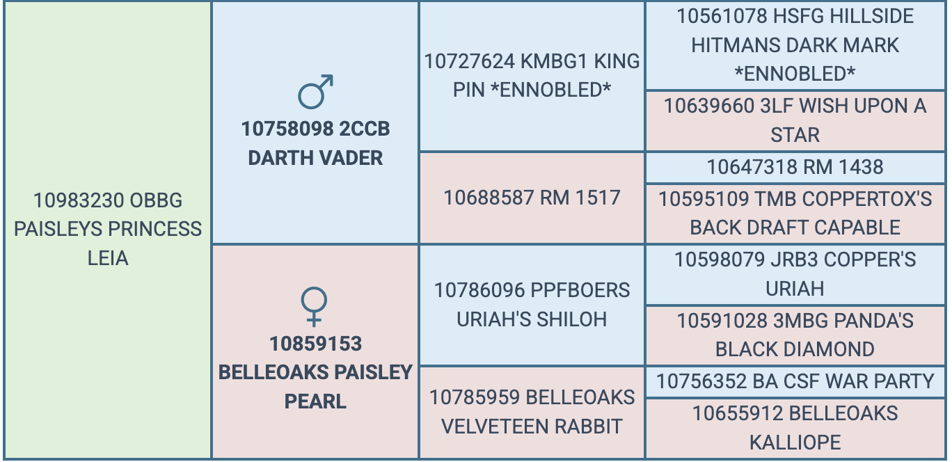 Screenshot 2026-07-23 at 8.16.13 PM