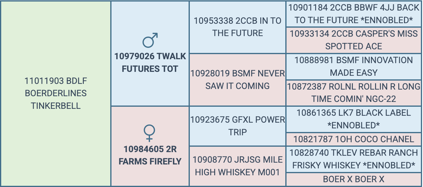Screenshot 2026-07-26 at 5.34.33 PM