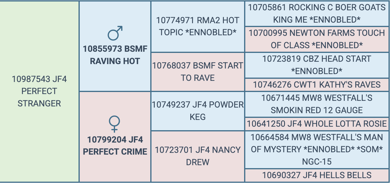 Screenshot 2026-07-28 at 6.53.29 PM