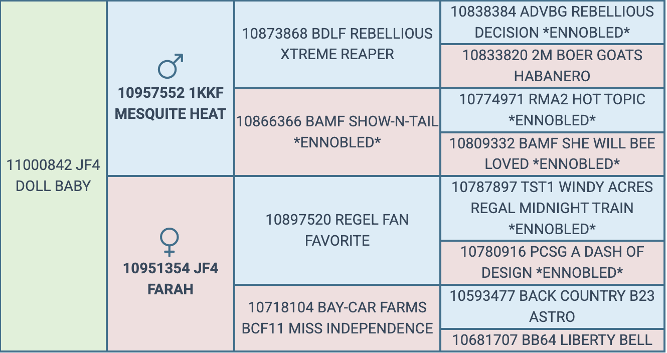 Screenshot 2026-07-28 at 7.13.14 PM