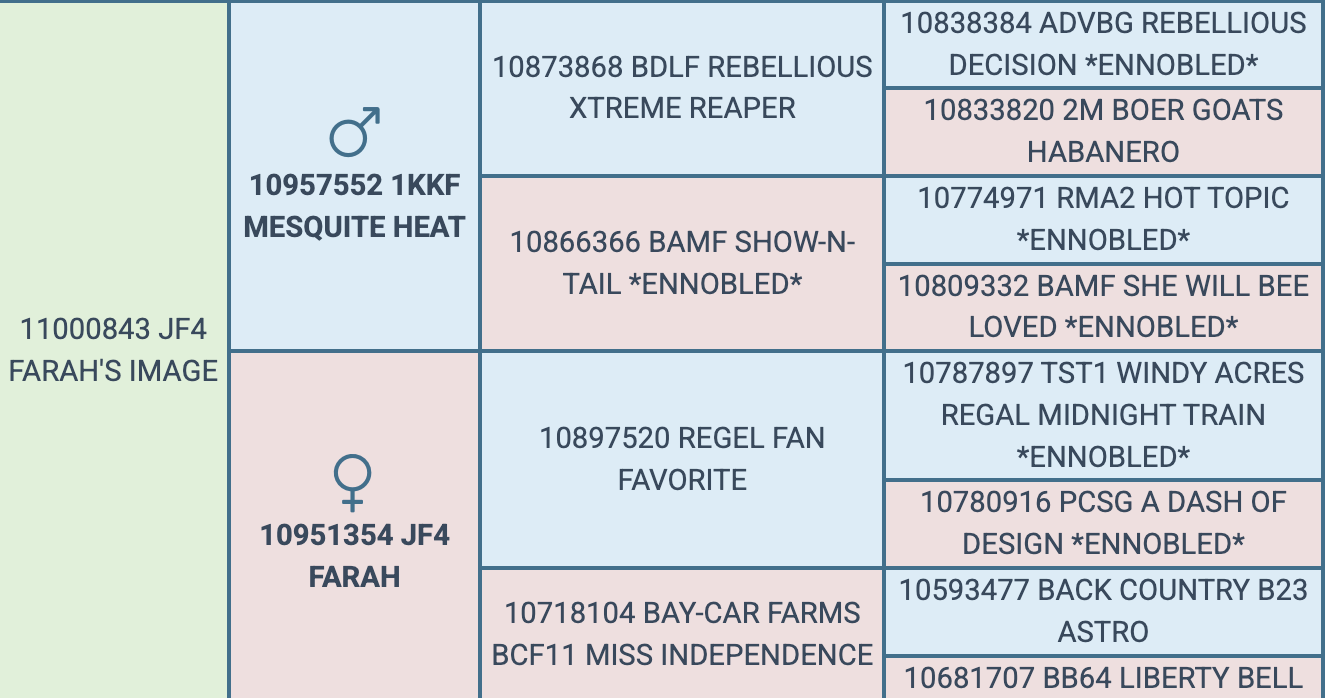 Screenshot 2026-07-28 at 7.16.27 PM