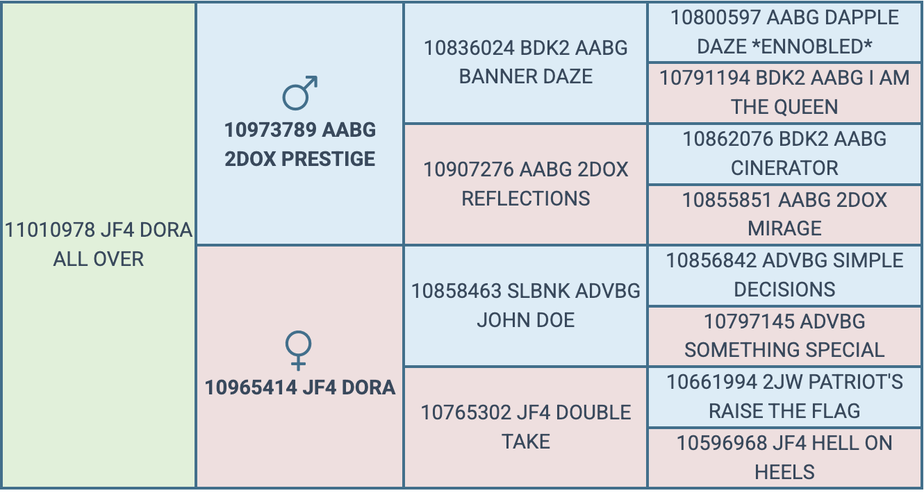 Screenshot 2026-07-28 at 7.31.44 PM