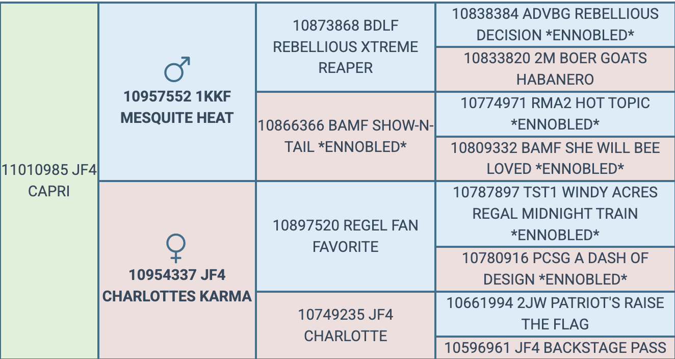 Screenshot 2026-07-28 at 7.34.52 PM