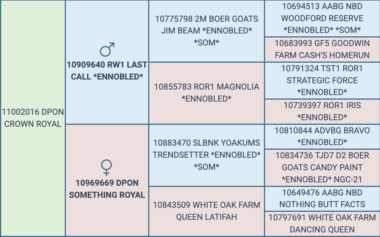 Screenshot 2026-07-28 at 7.38.43 PM