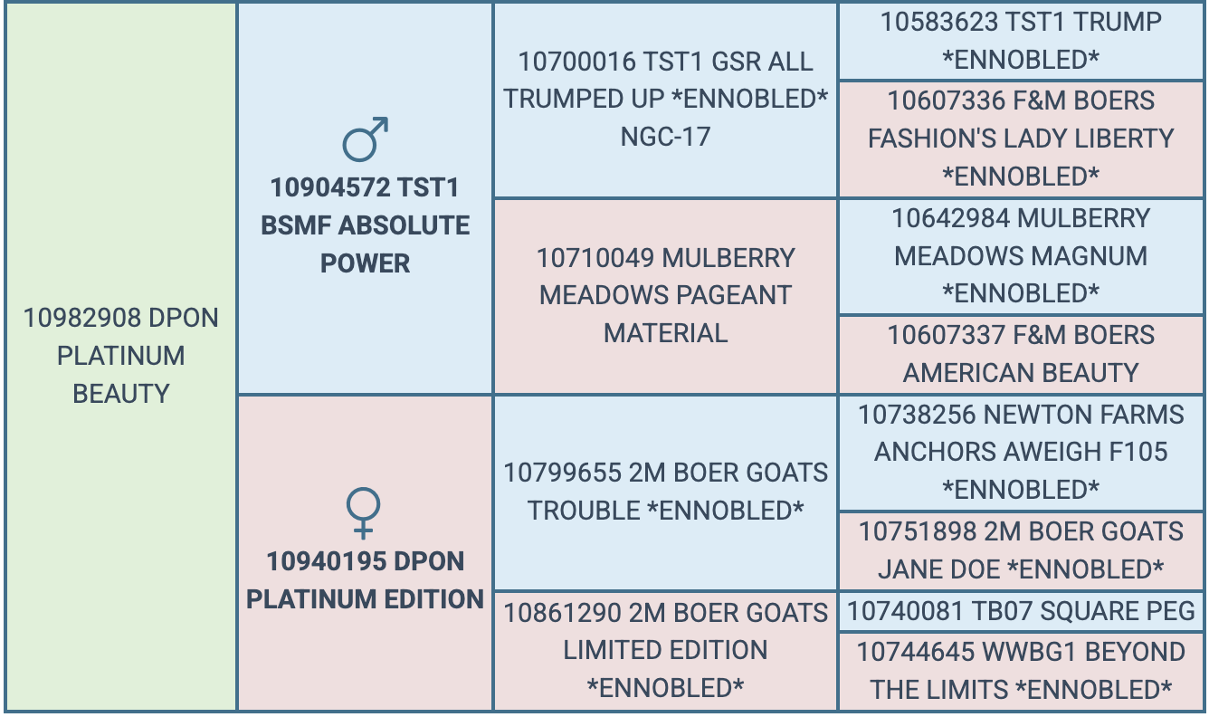 Screenshot 2026-07-28 at 7.41.35 PM
