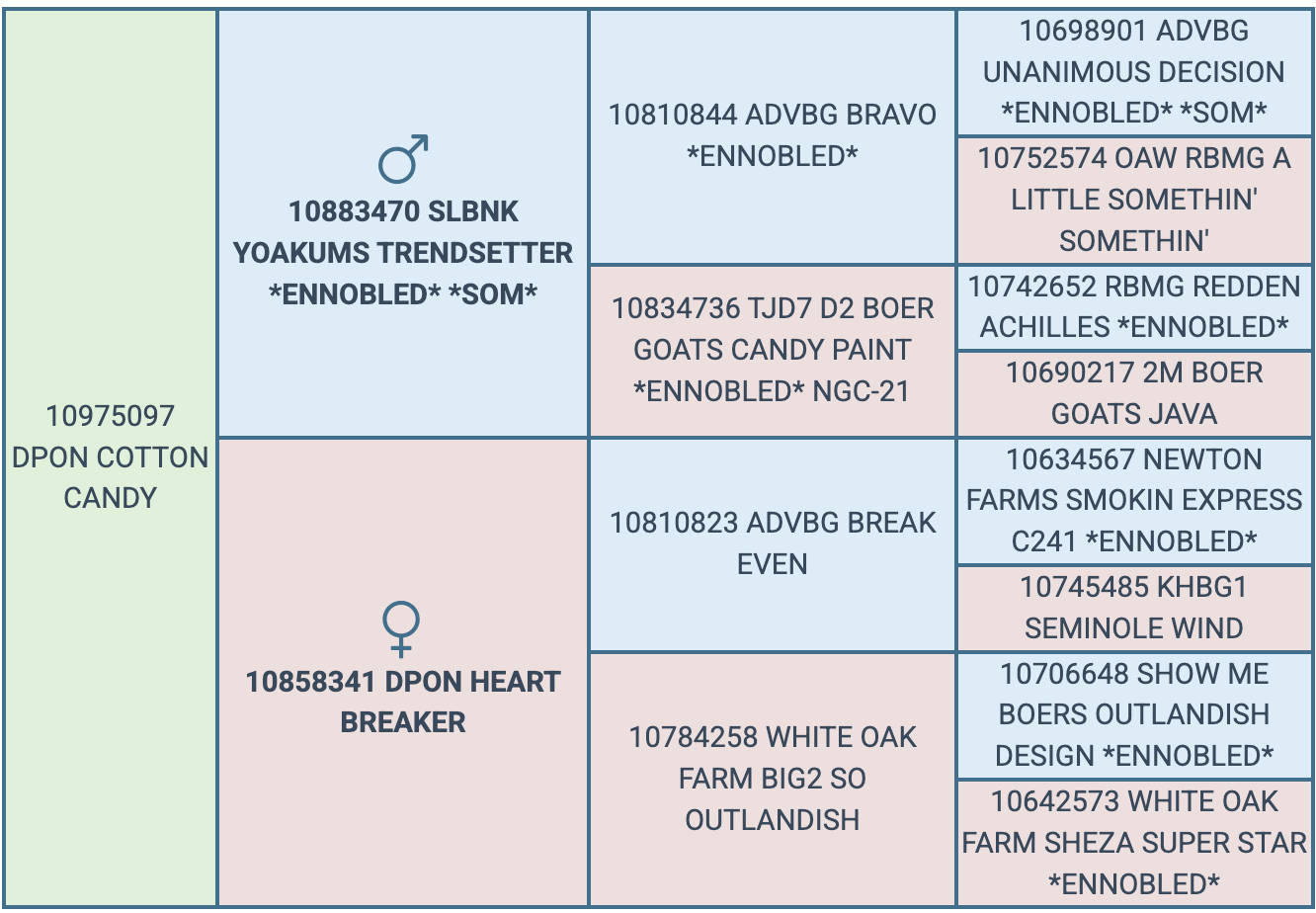 Screenshot 2026-07-28 at 7.44.32 PM
