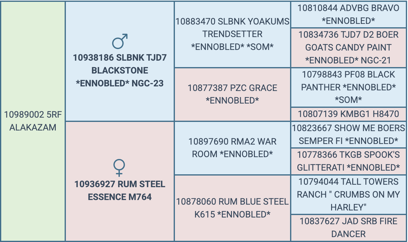Screenshot 2026-07-28 at 7.59.23 PM
