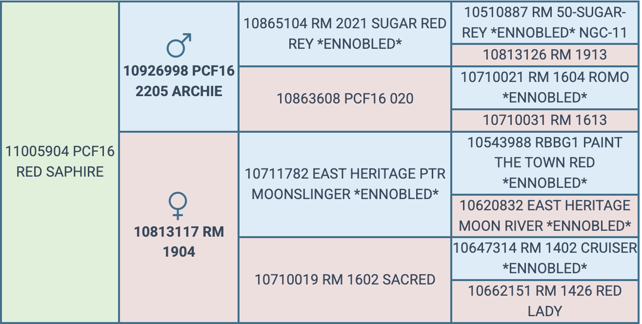 Screenshot 2026-07-29 at 6.41.20 PM