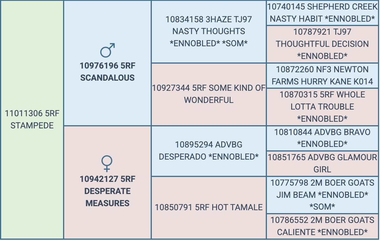 Screenshot 2026-07-30 at 9.02.41 PM