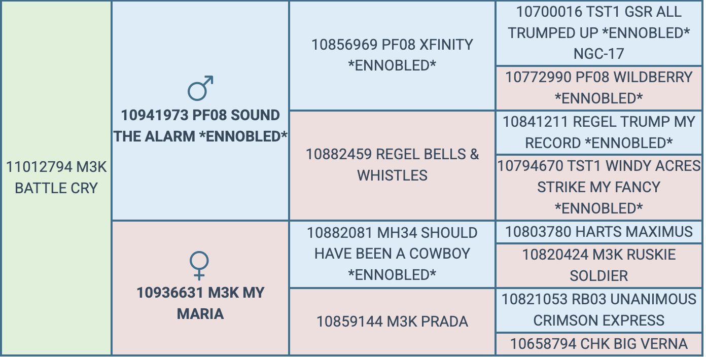 Screenshot 2026-08-09 at 12.53.43 PM