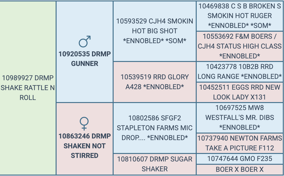 Screenshot 2026-08-10 at 10.17.54 PM