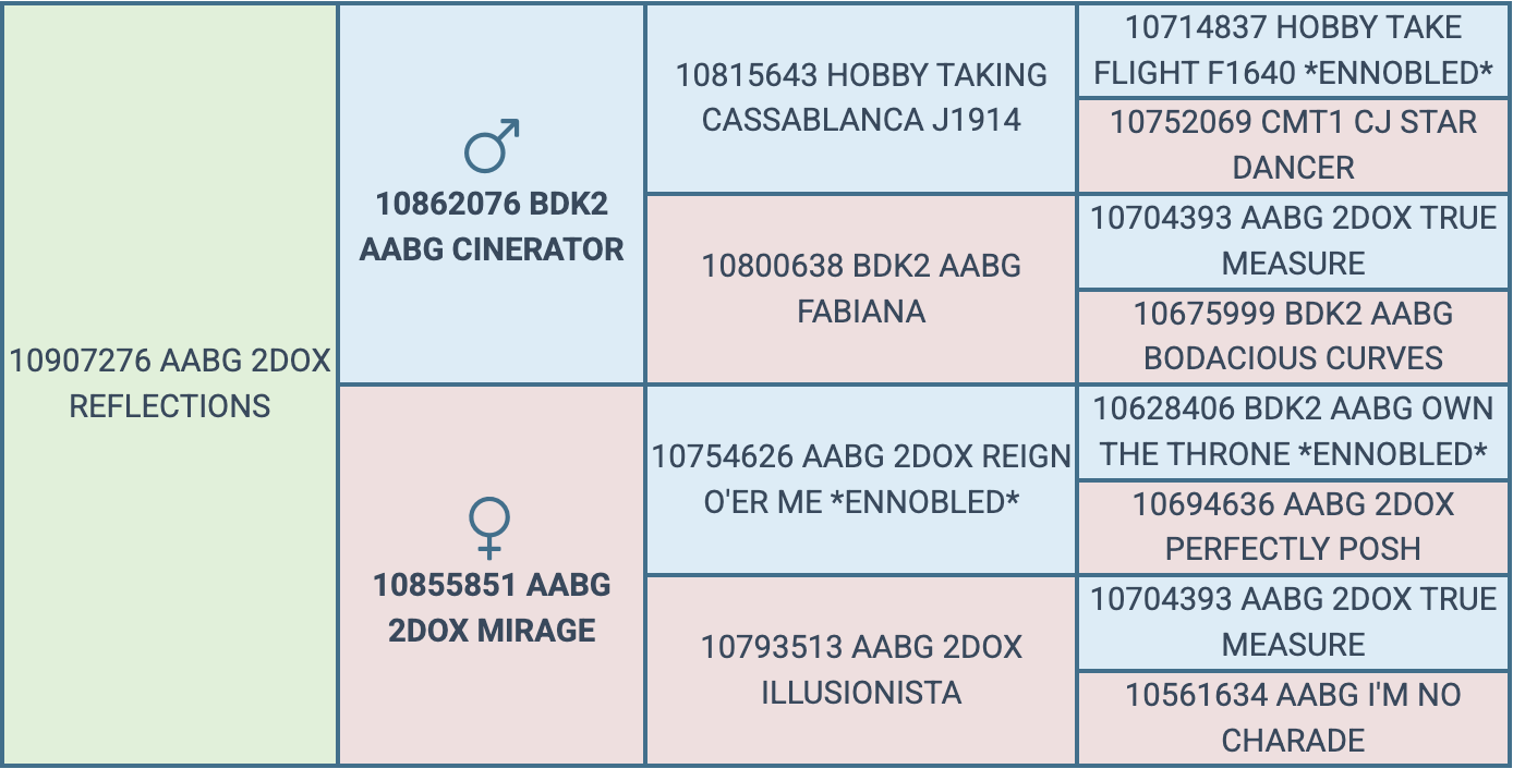 Screenshot 2026-08-10 at 6.34.17 PM