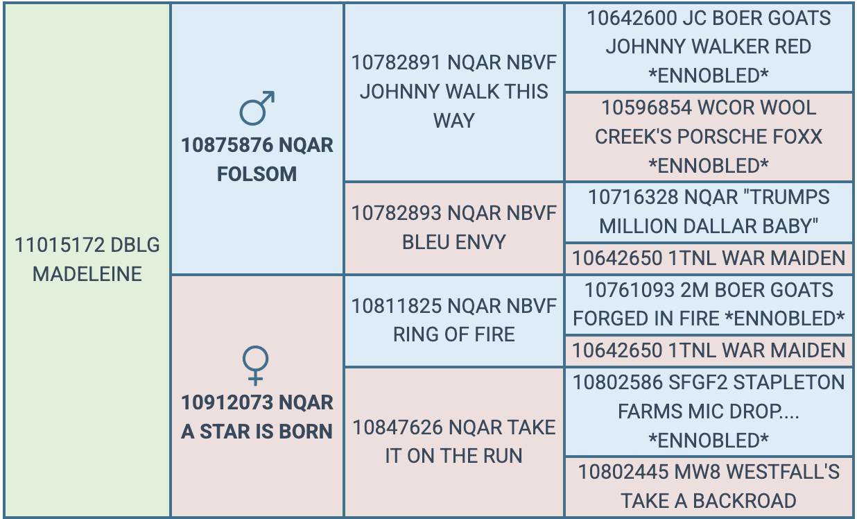 Screenshot 2026-08-18 at 7.28.13 PM