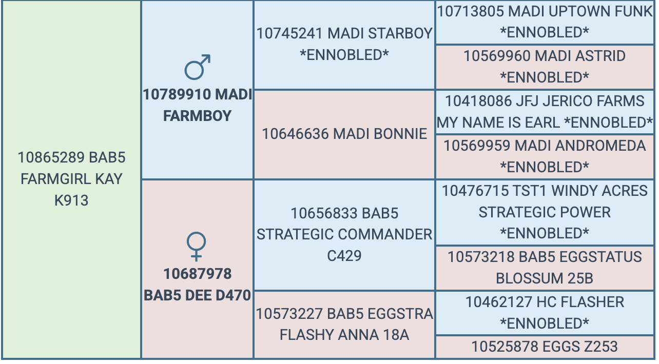 Screenshot 2026-08-25 at 6.39.34 PM