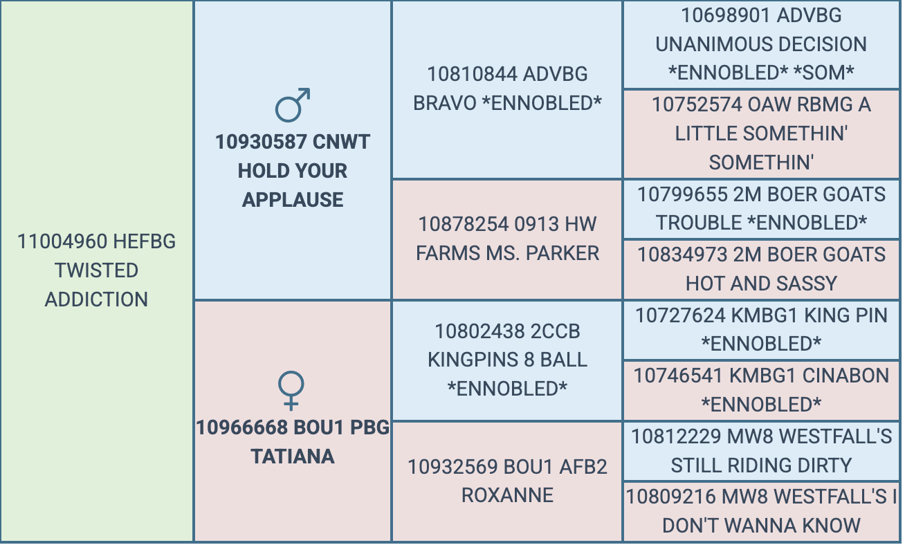 Screenshot 2026-08-30 at 8.54.58 PM