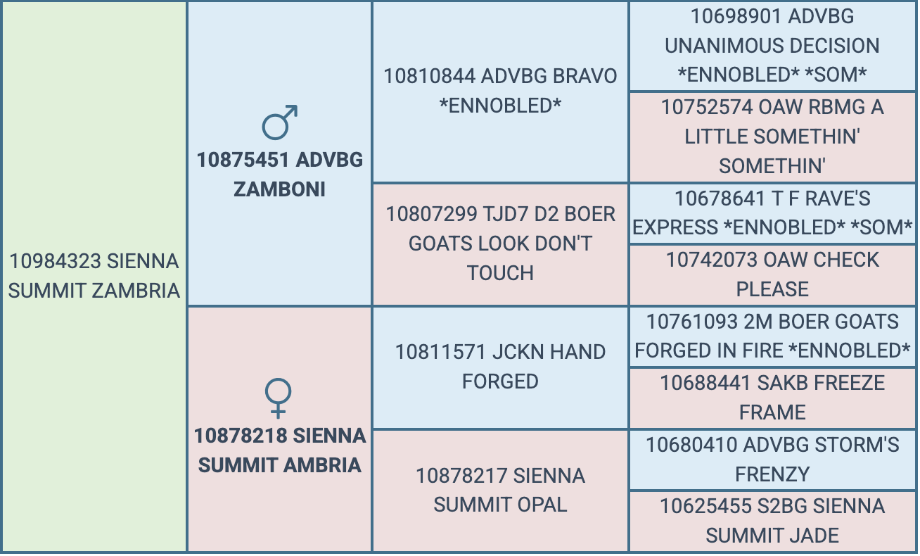Screenshot 2026-08-30 at 9.20.26 PM