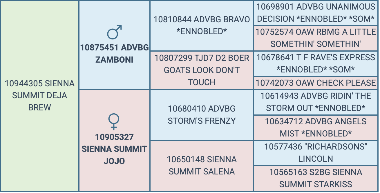 Screenshot 2026-08-30 at 9.25.31 PM