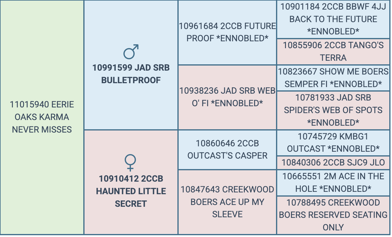 Screenshot 2026-08-31 at 9.18.35 PM