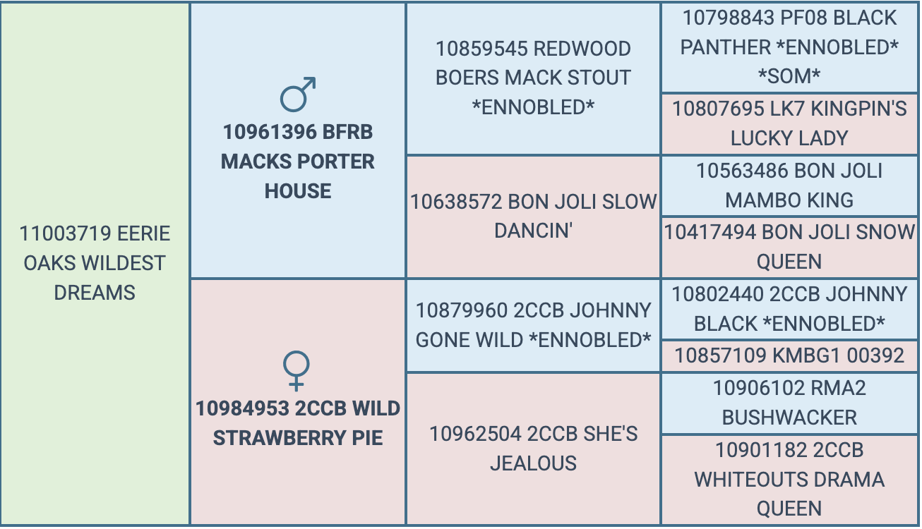 Screenshot 2026-08-31 at 9.21.48 PM