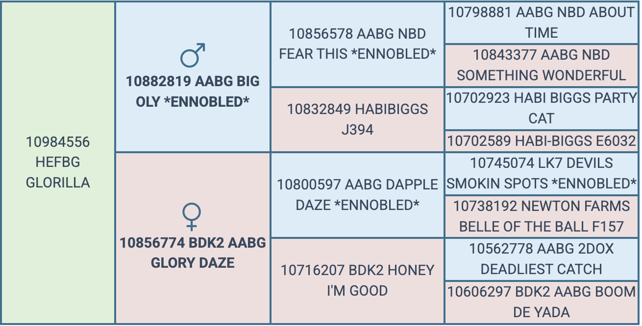 Screenshot 2026-08-31 at 9.34.13 PM