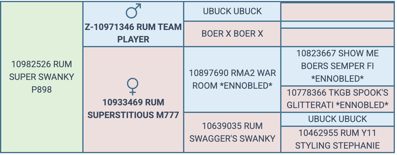 Screenshot 2026-08-31 at 9.36.48 PM