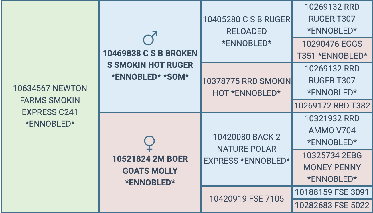 Screenshot 2026-09-04 at 9.53.55 PM