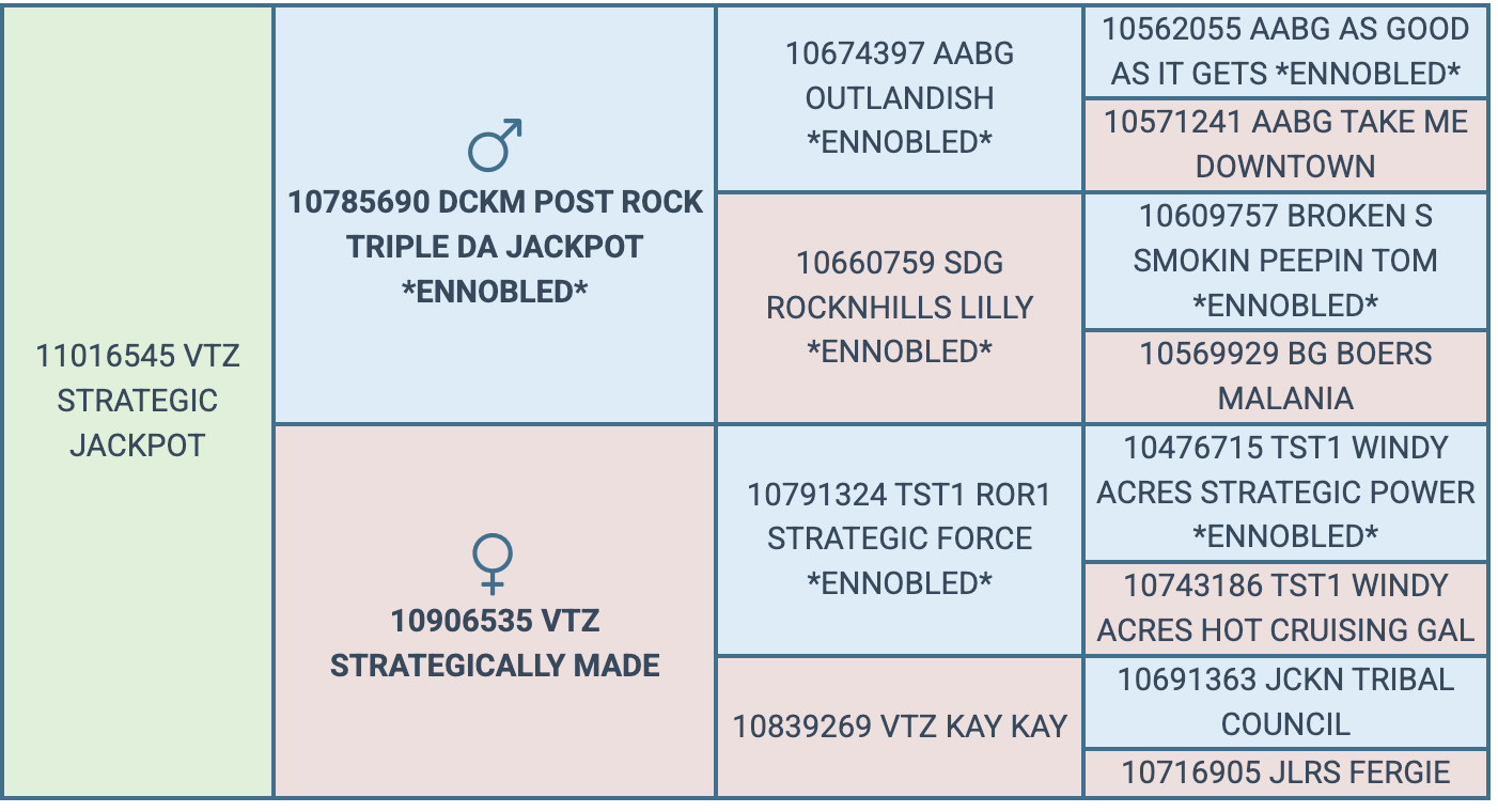 Screenshot 2026-09-14 at 6.22.37 PM