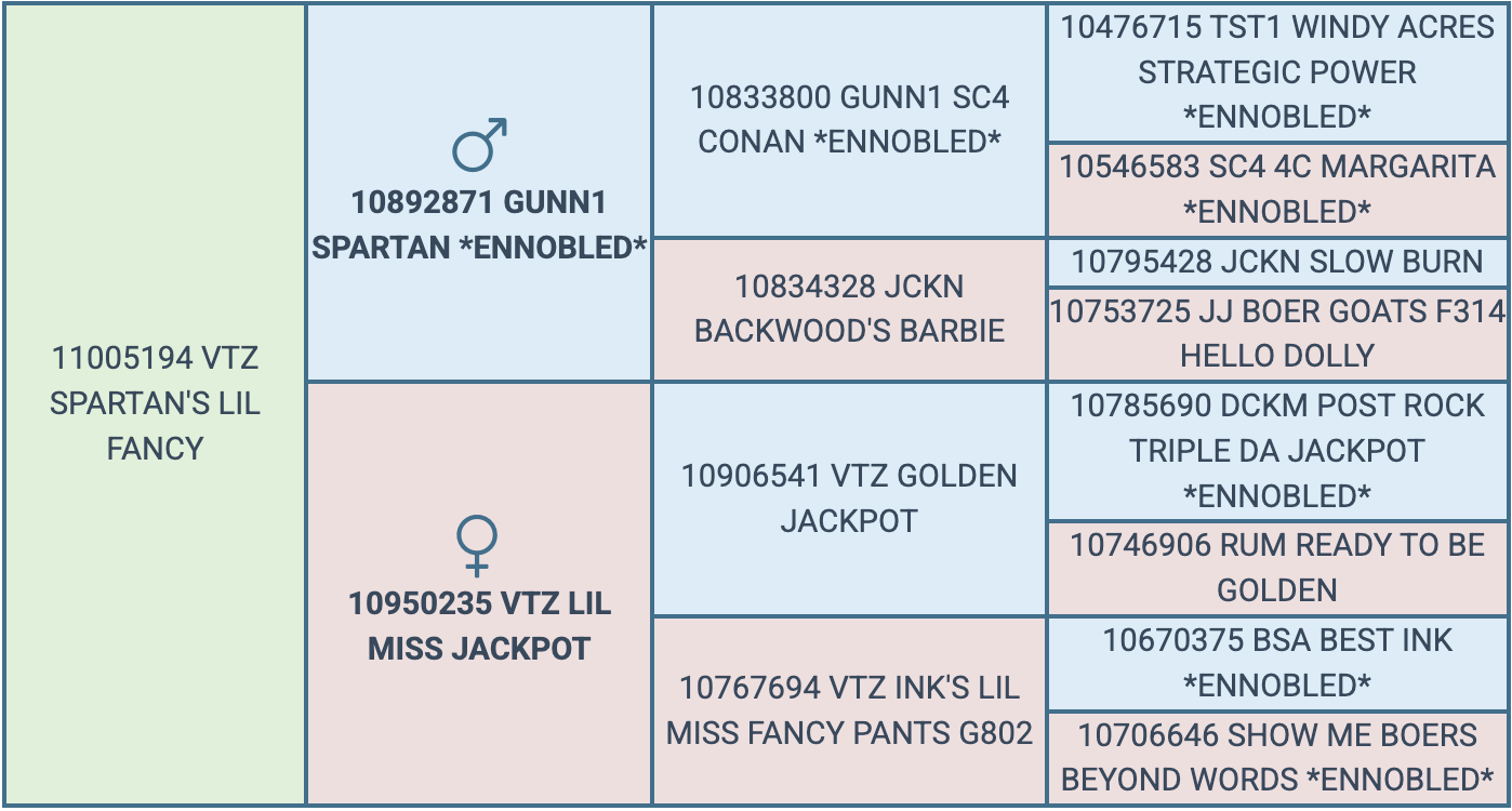 Screenshot 2026-09-14 at 6.32.06 PM