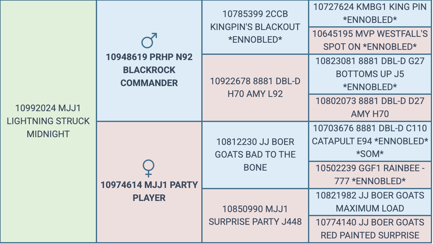 Screenshot 2026-09-14 at 8.50.36 PM