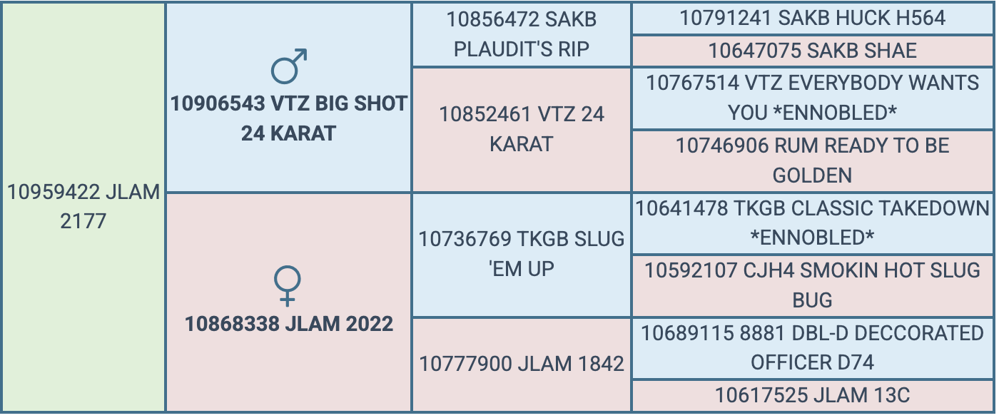 Screenshot 2026-09-15 at 6.53.50 PM