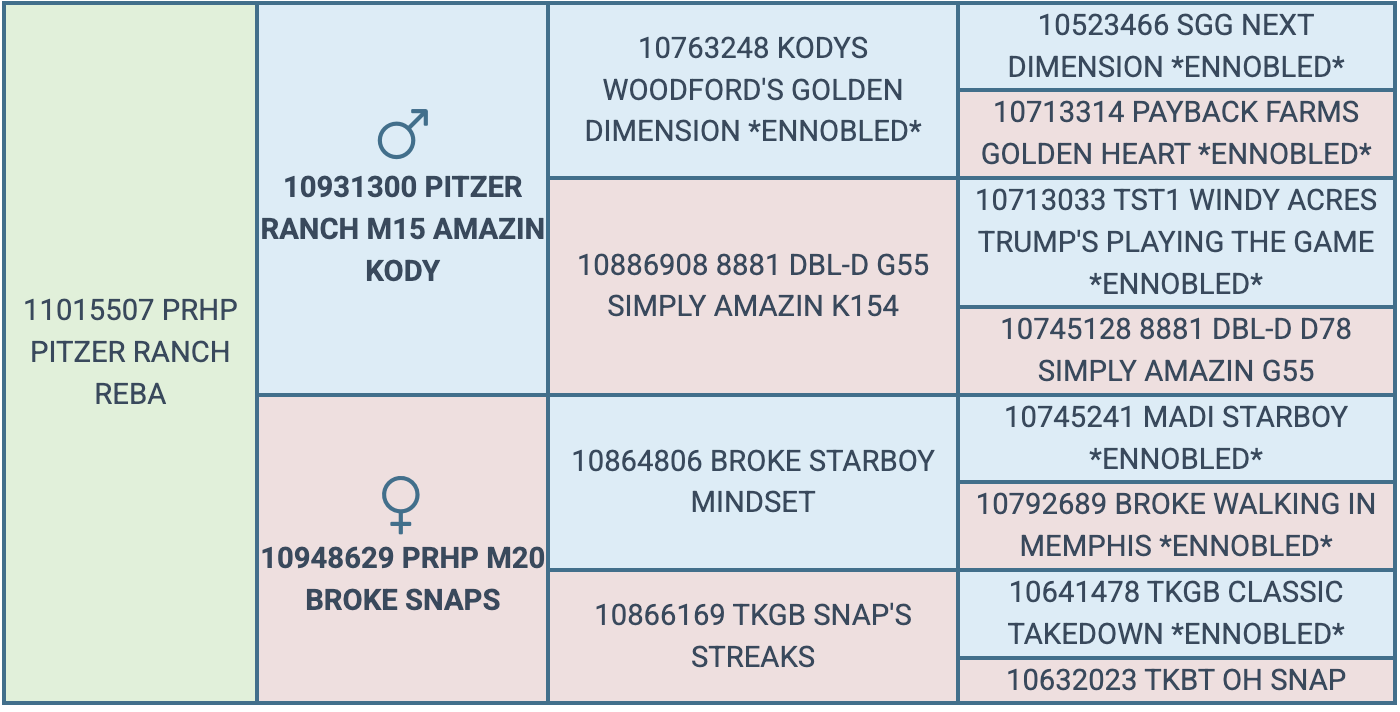 Screenshot 2026-09-15 at 7.44.08 PM