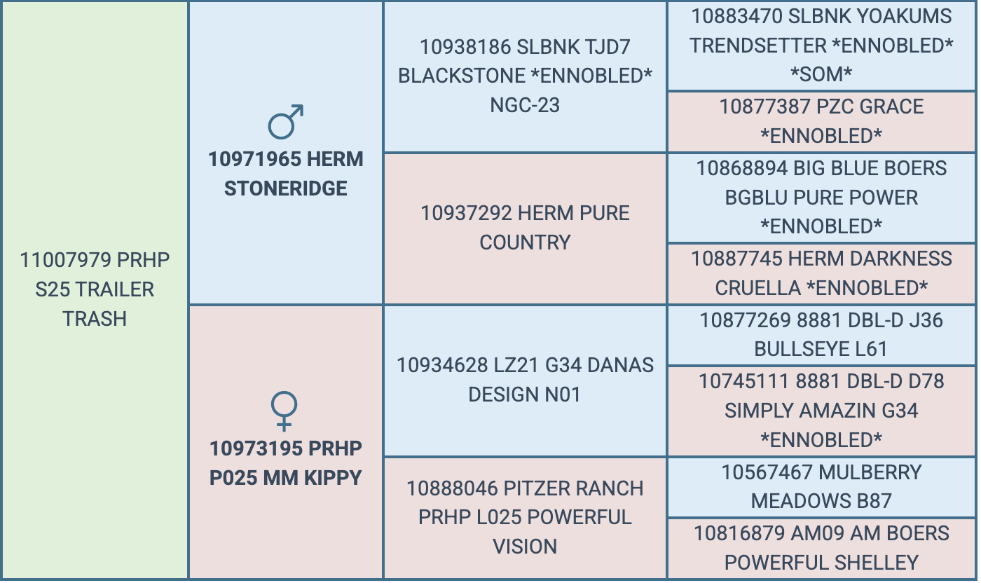 Screenshot 2026-09-15 at 7.52.05 PM