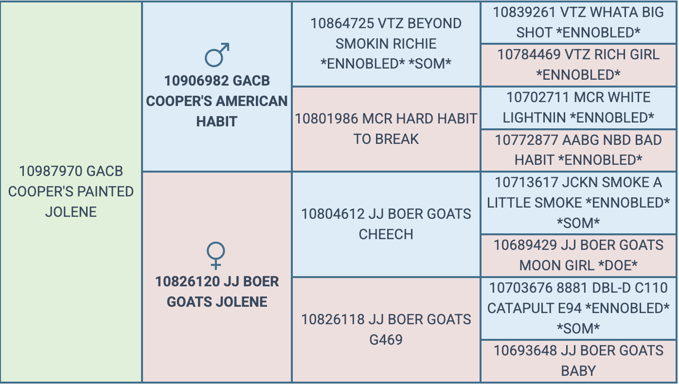 Screenshot 2026-09-15 at 8.36.49 PM