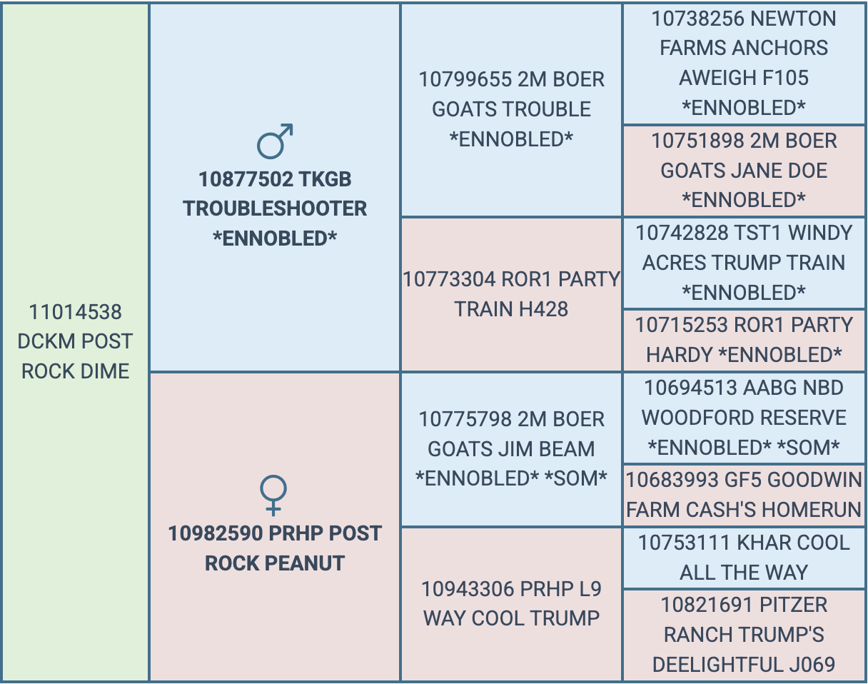 Screenshot 2026-09-16 at 9.09.56 PM