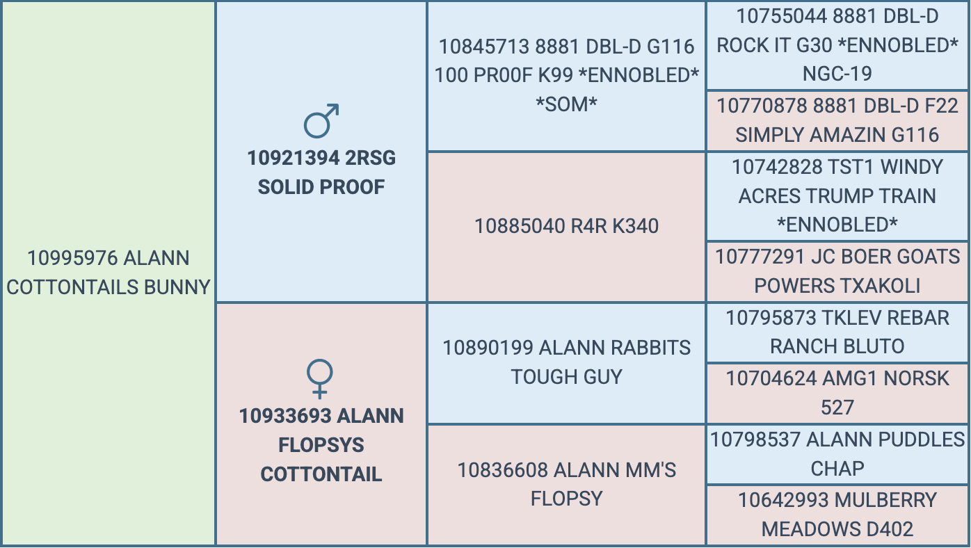 Screenshot 2026-09-20 at 6.16.32 PM