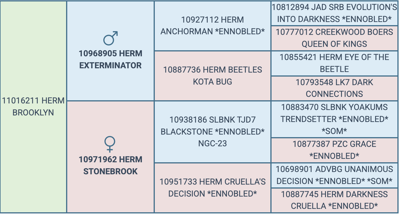 Screenshot 2026-09-21 at 6.39.43 PM